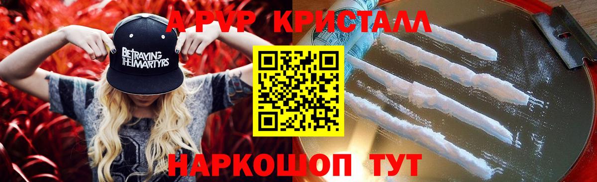 A-PVP СК КРИС Воркута